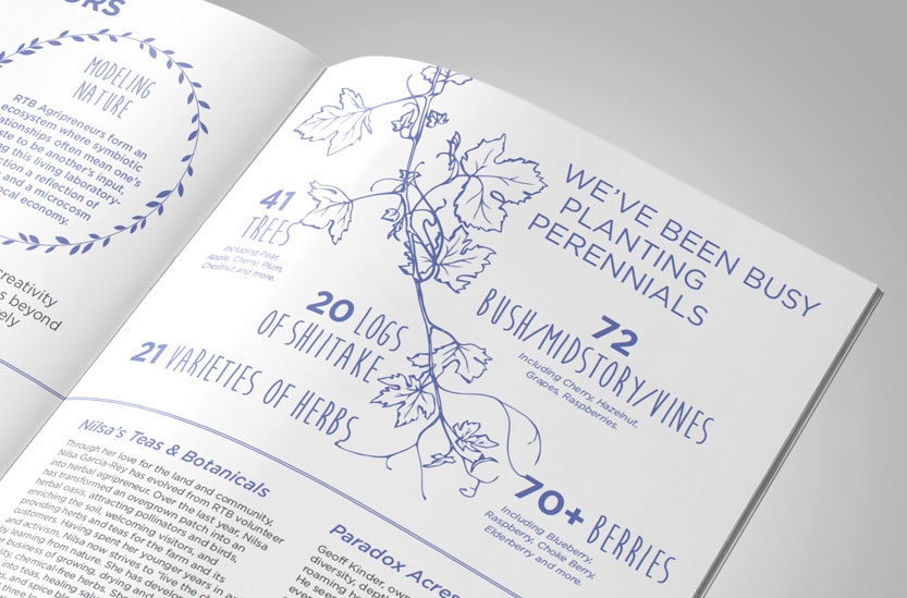 Annual report infographic