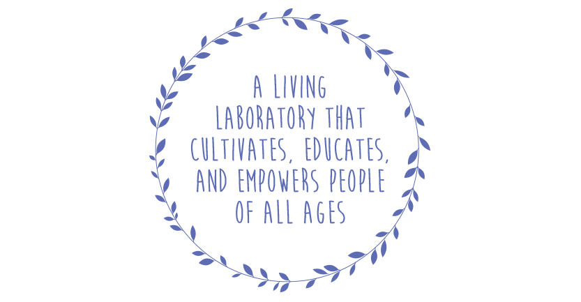 Annual report graphic