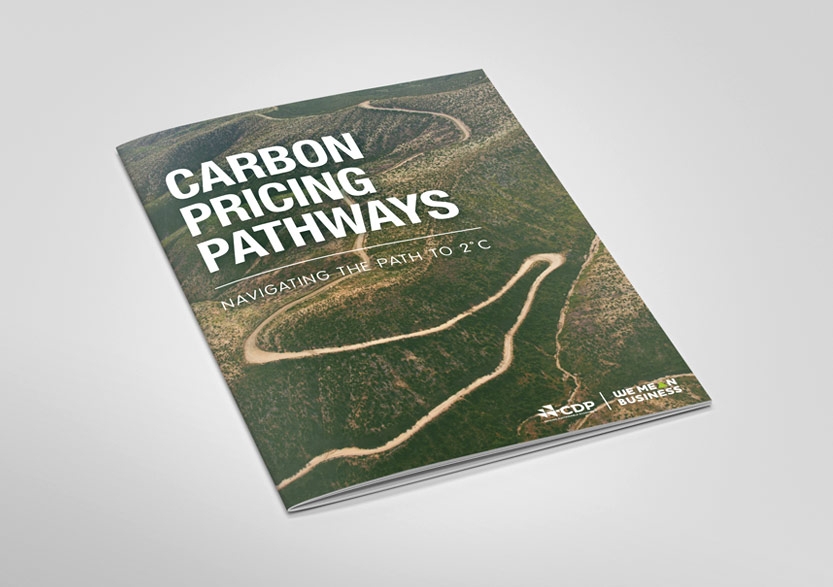 Carbon Disclosure Project Report Cover