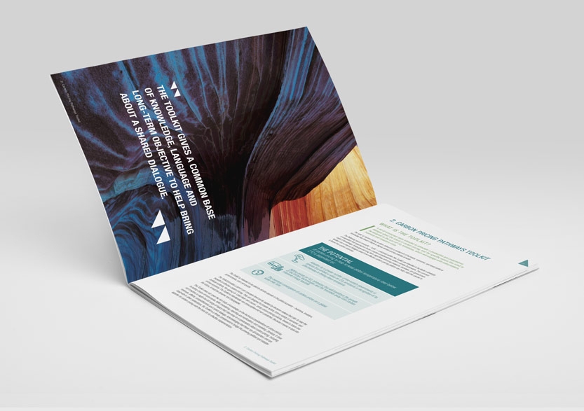 Carbon Disclosure Project Report 