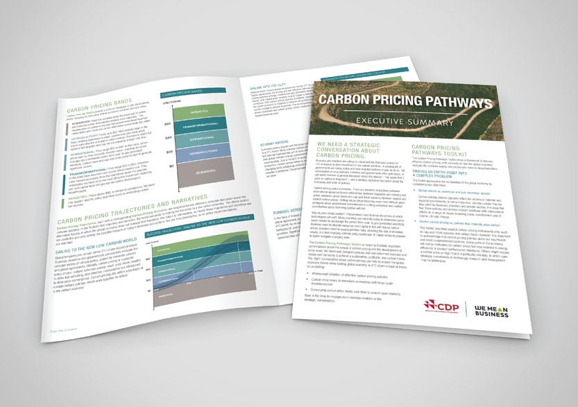 Carbon Disclosure Project Report 