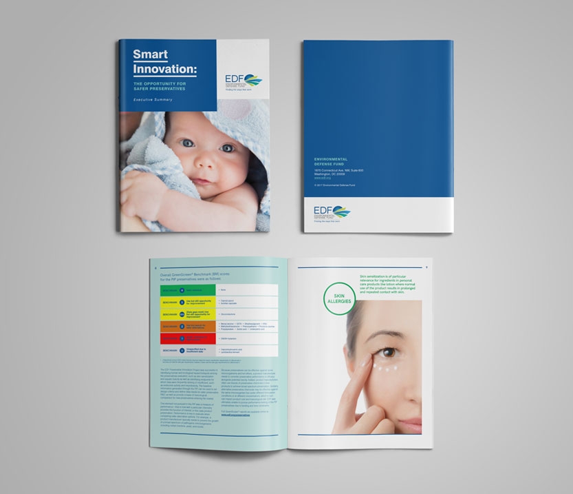 PIP Executive Summary cover and spread