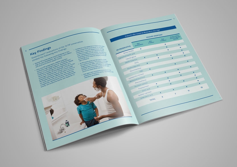 Executive Summary spread 2