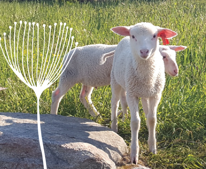 Round the Bend Farm annual report